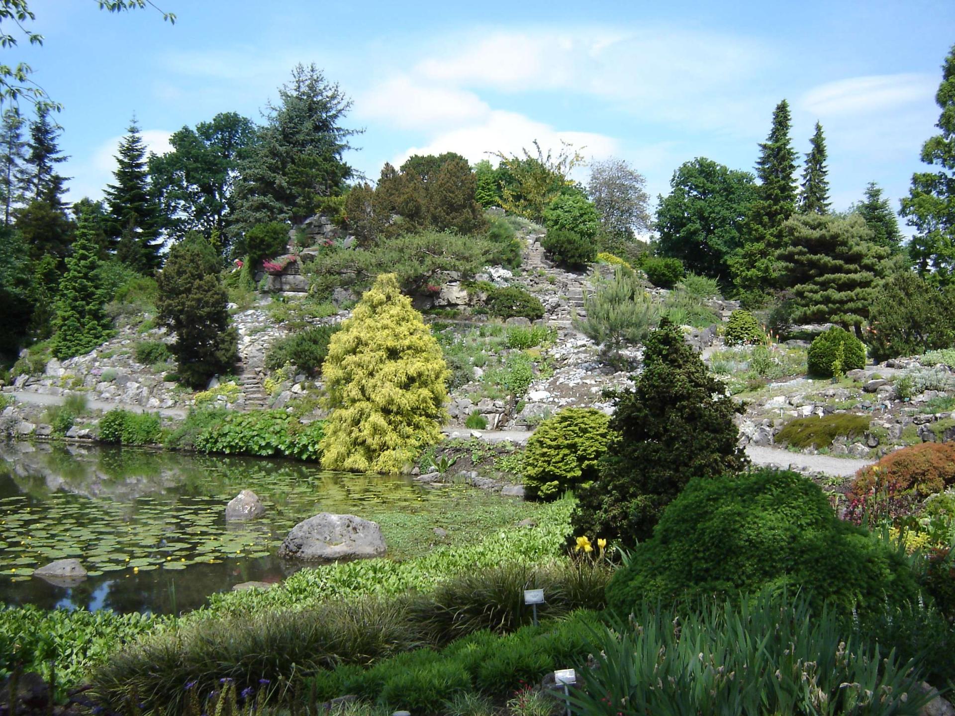 Rotstuin van Botanische tuin Fort Hoofddijk, Universiteit Utrecht; foto gemaakt door Dick Bos, 200