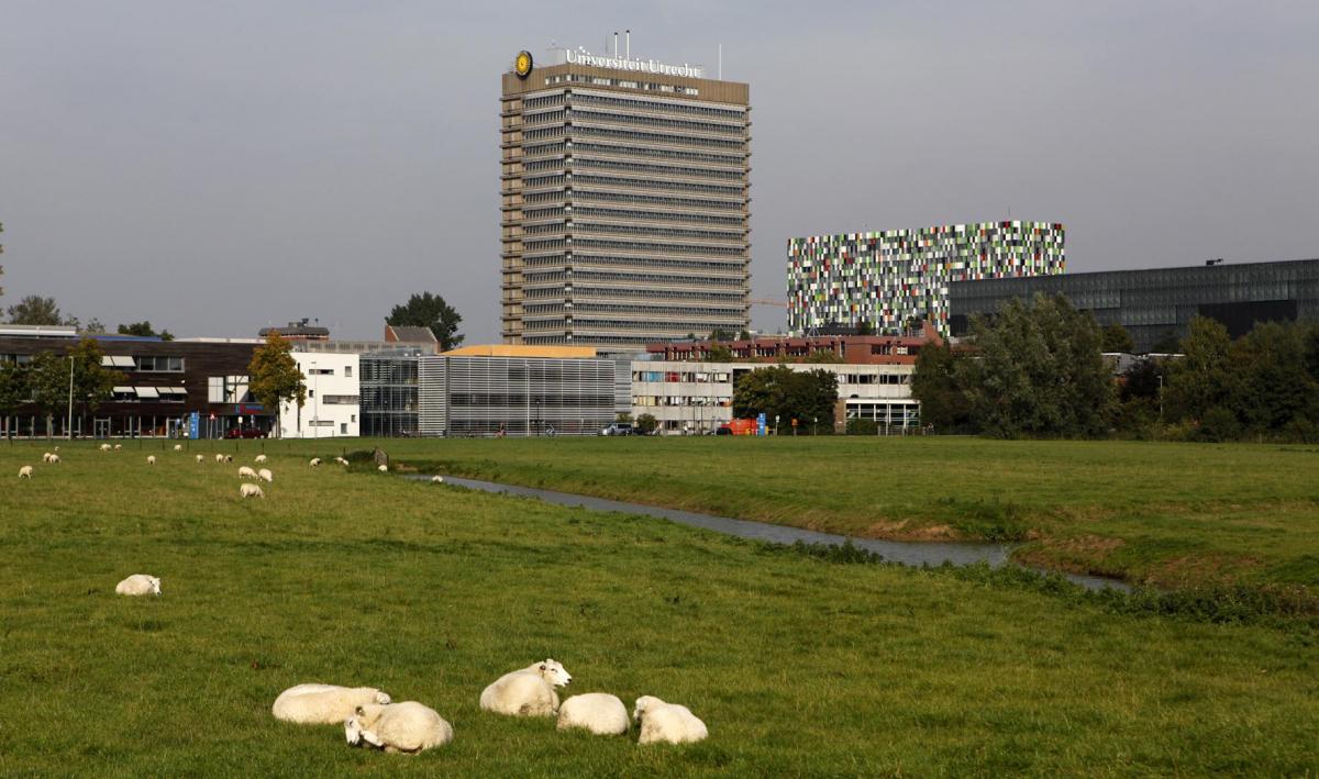 Weg van de wetenschap (Science Park)