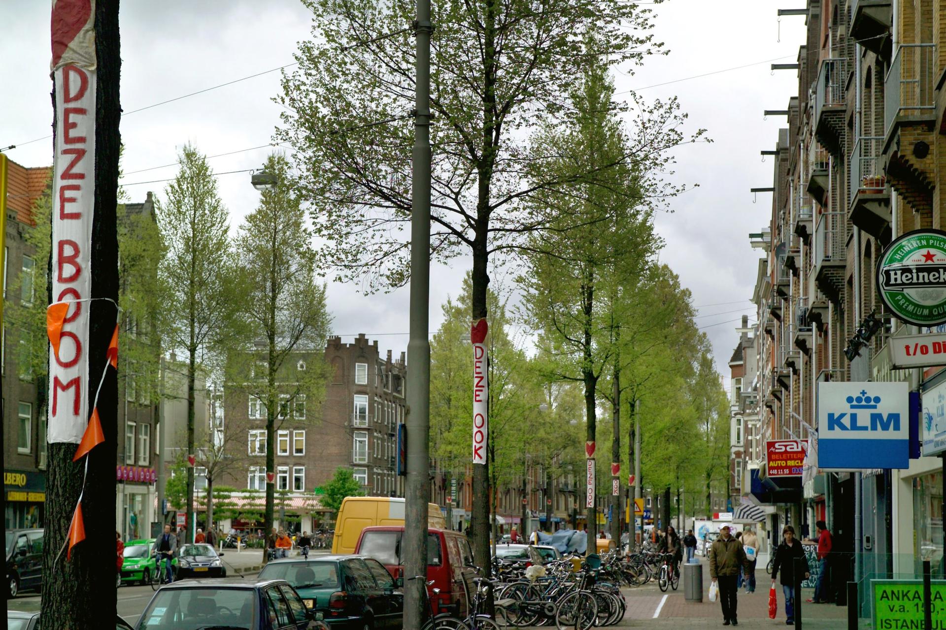 Actie tegen het kappen van iepen in de Bilderdijkstraat onder het motto: Geen Iepen Omkiepen. 