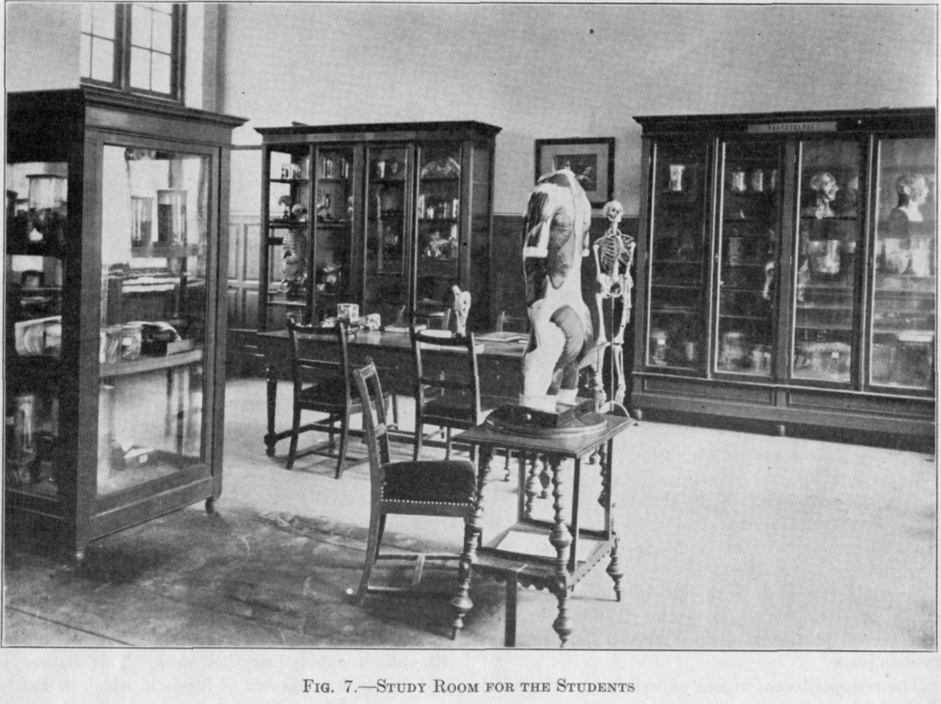 Interieur van het Anatomisch Instituut (voormalige Statenkamer, Janskerkhof 3): studiezaal voor studenten.